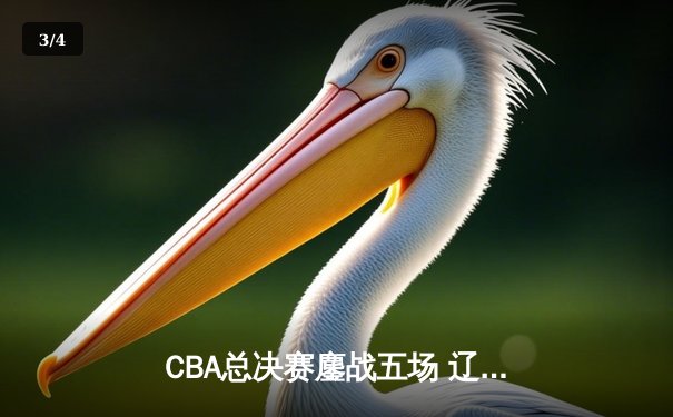CBA总决赛鏖战五场 辽宁男篮成功卫冕总冠军 - 3